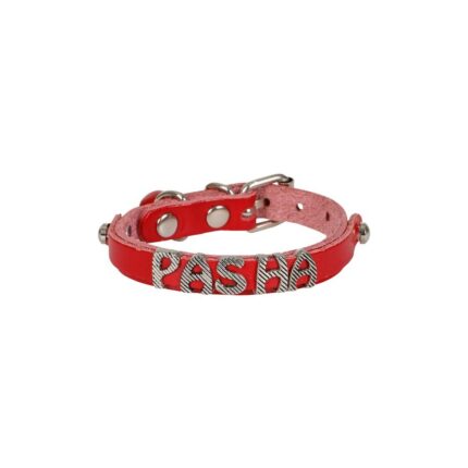 Cattie İsimlikli Deri Kedi Tasması Kırmızı 1X16-20Cm