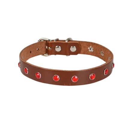 Cattie Taşlı Deri Kedi Tasması Kahve 1,5X26-31Cm